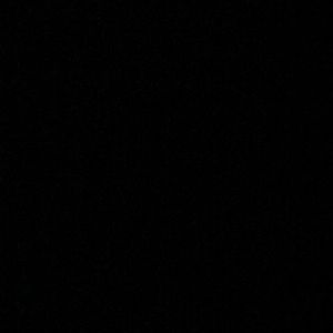 Meet your Posher, Peyton